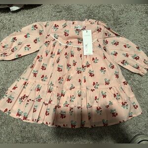 Floral Pink Long Sleeve Dress- -Janie & Jack- 6-12 month- nwt